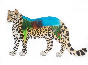 Amur-Leopard