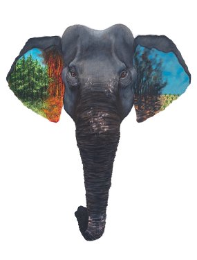 Sumatran-Elephant